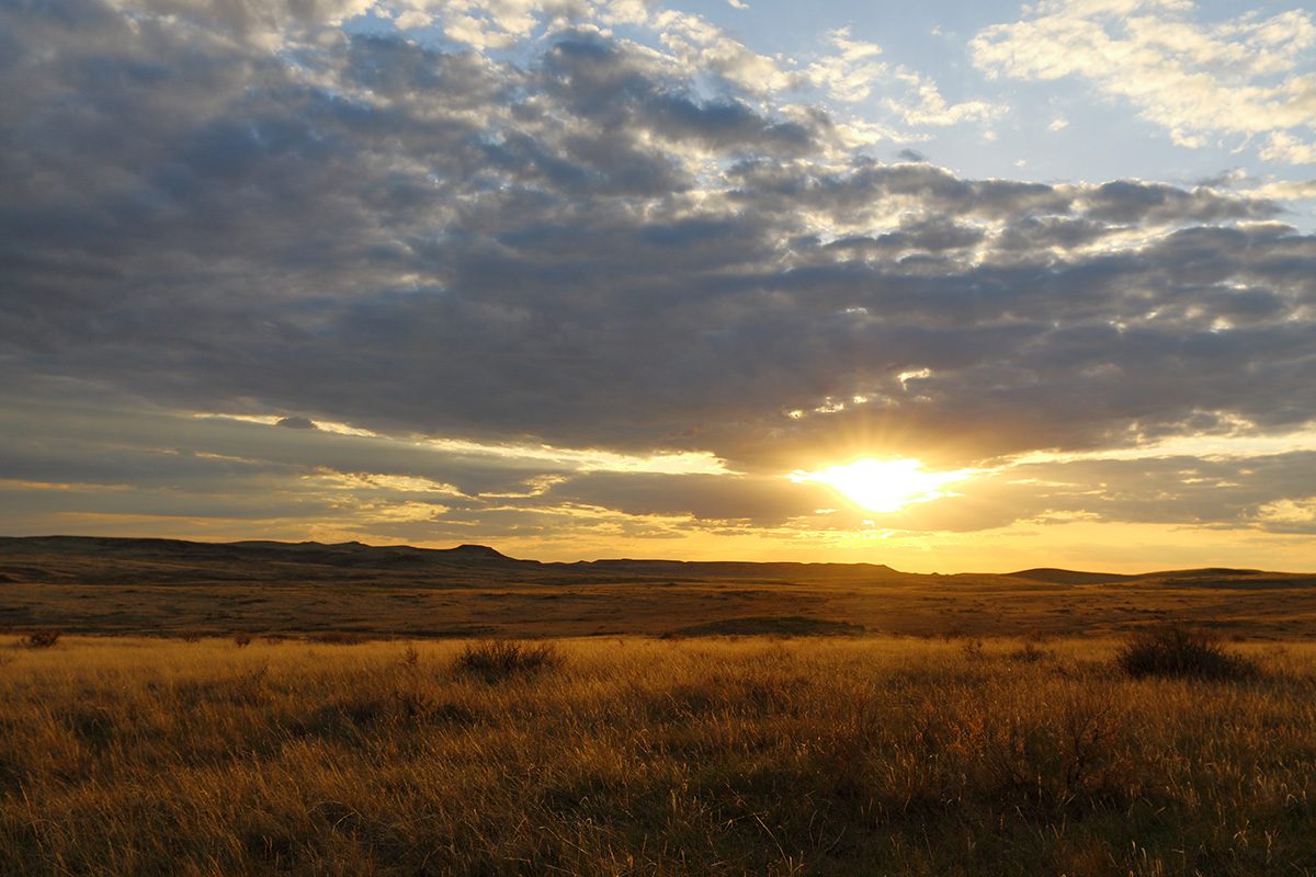 Sunset image from iStock.