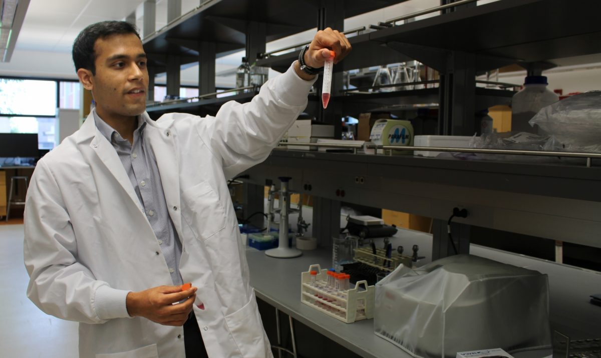 Summer student views test tube of gold nanoparticles