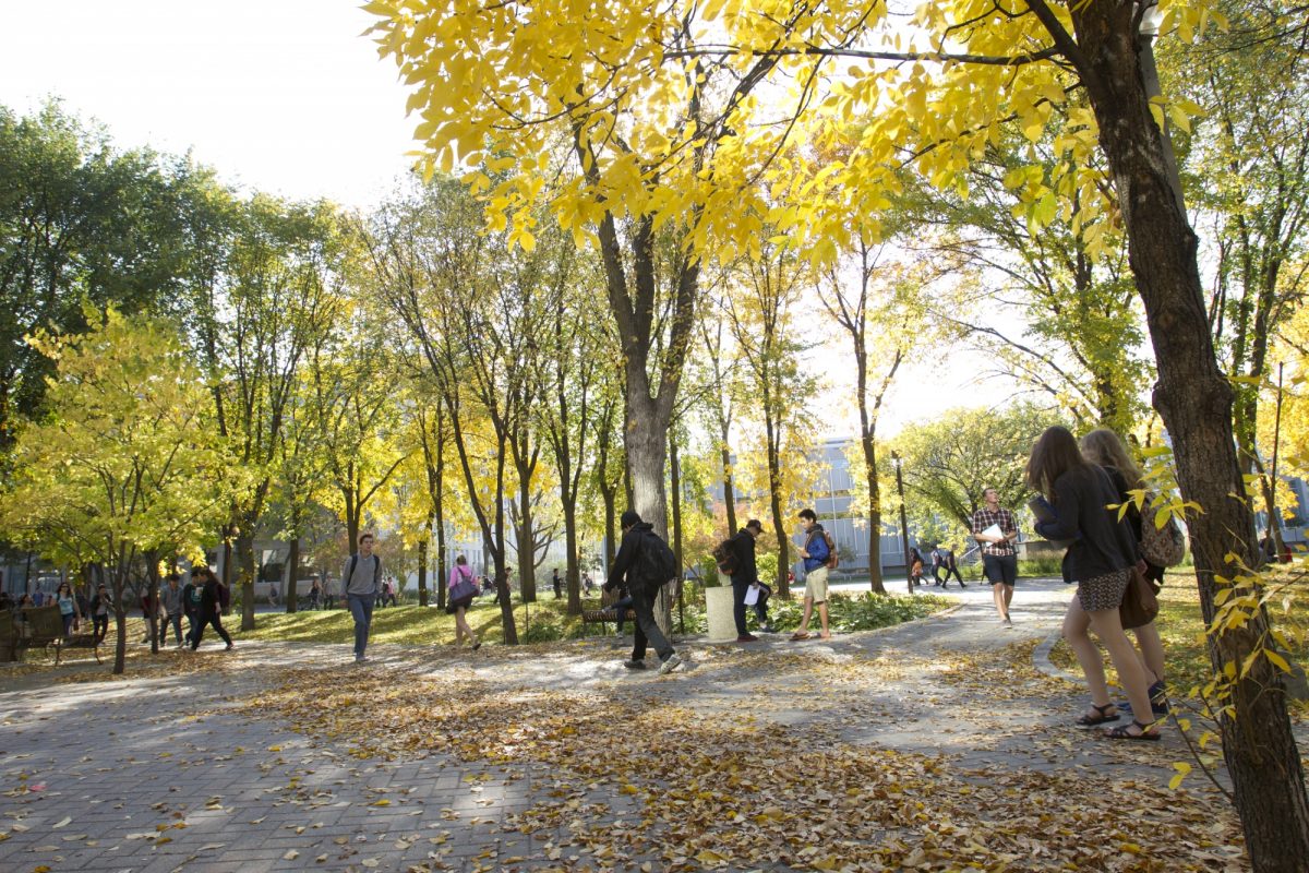 UM Campus During Fall