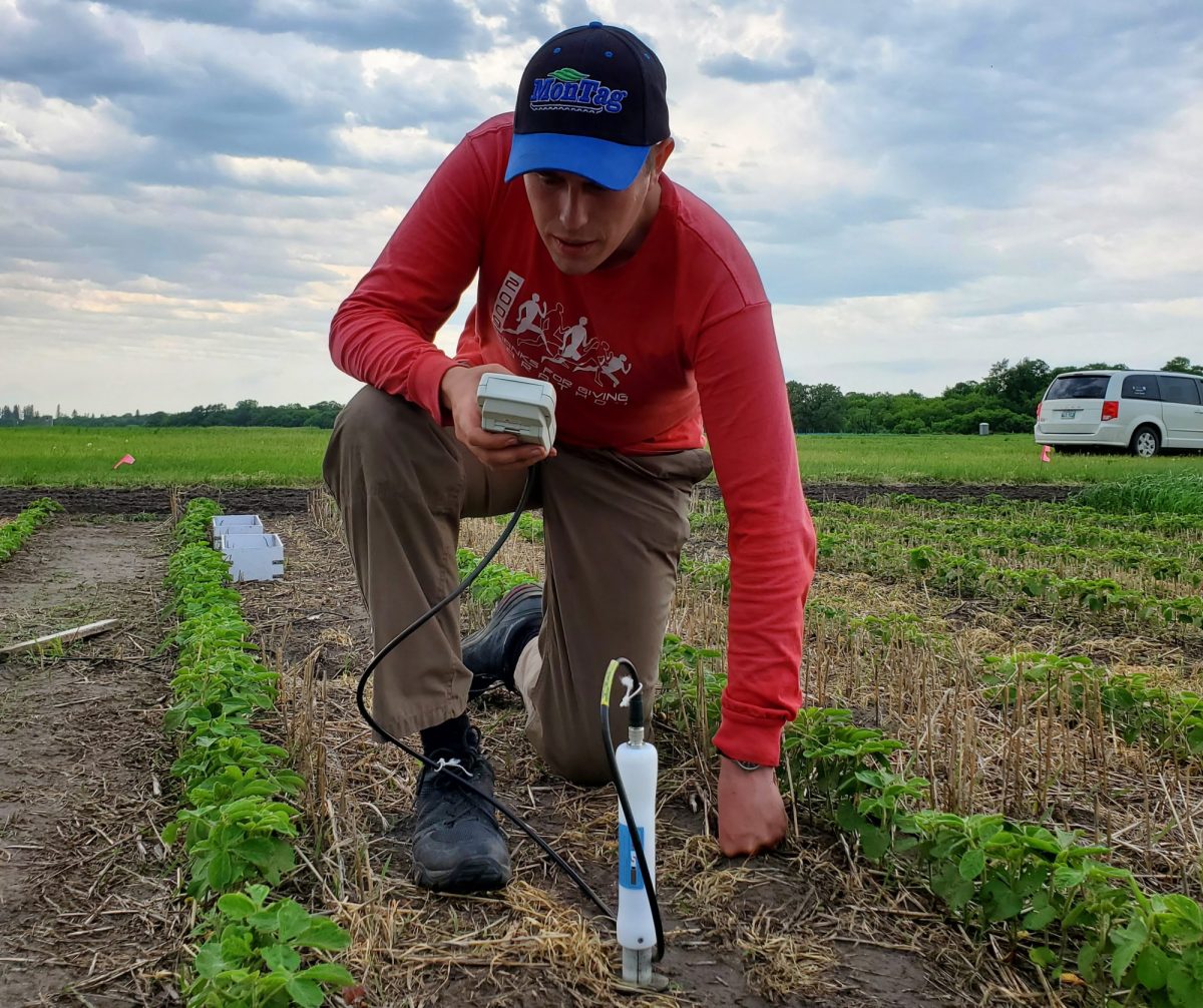 PhD student Callum Morrison in field.