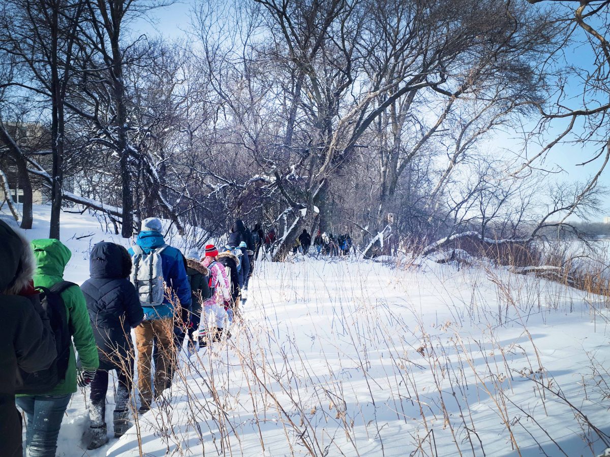 Students walking through the forest next to the Red River in winter