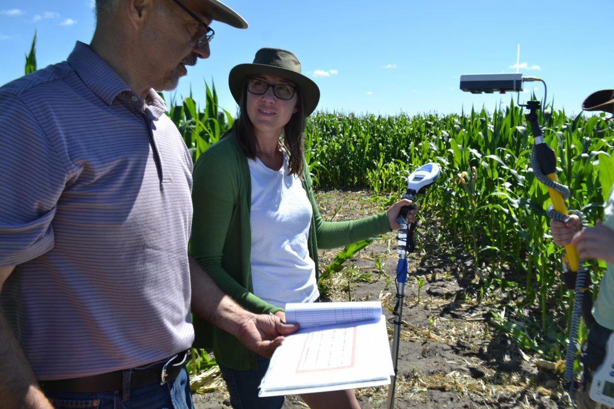 people in field