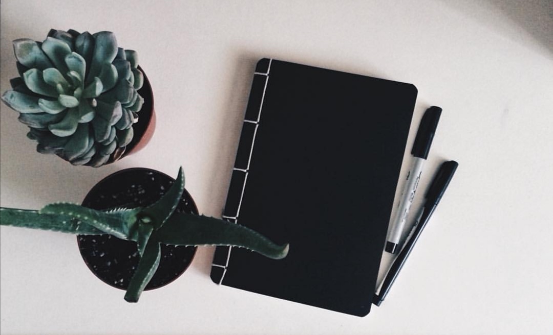 Plants and notebook on desk