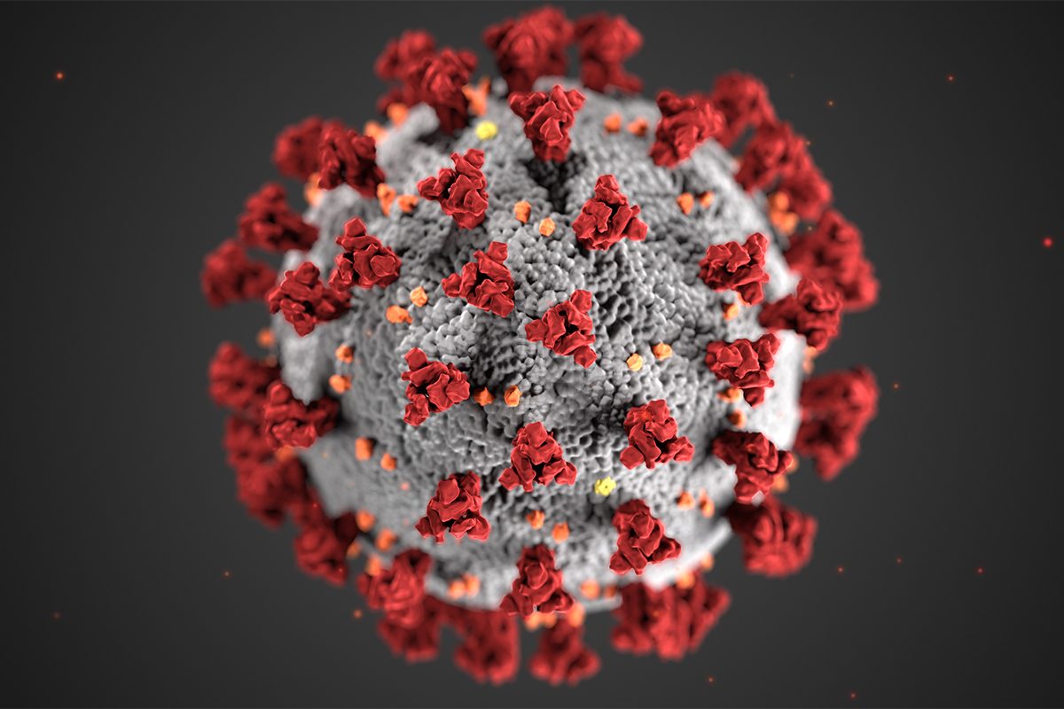 An illustration created at the Centers for Disease Control and Prevention (CDC), shows ultrastructural morphology exhibited by coronaviruses.