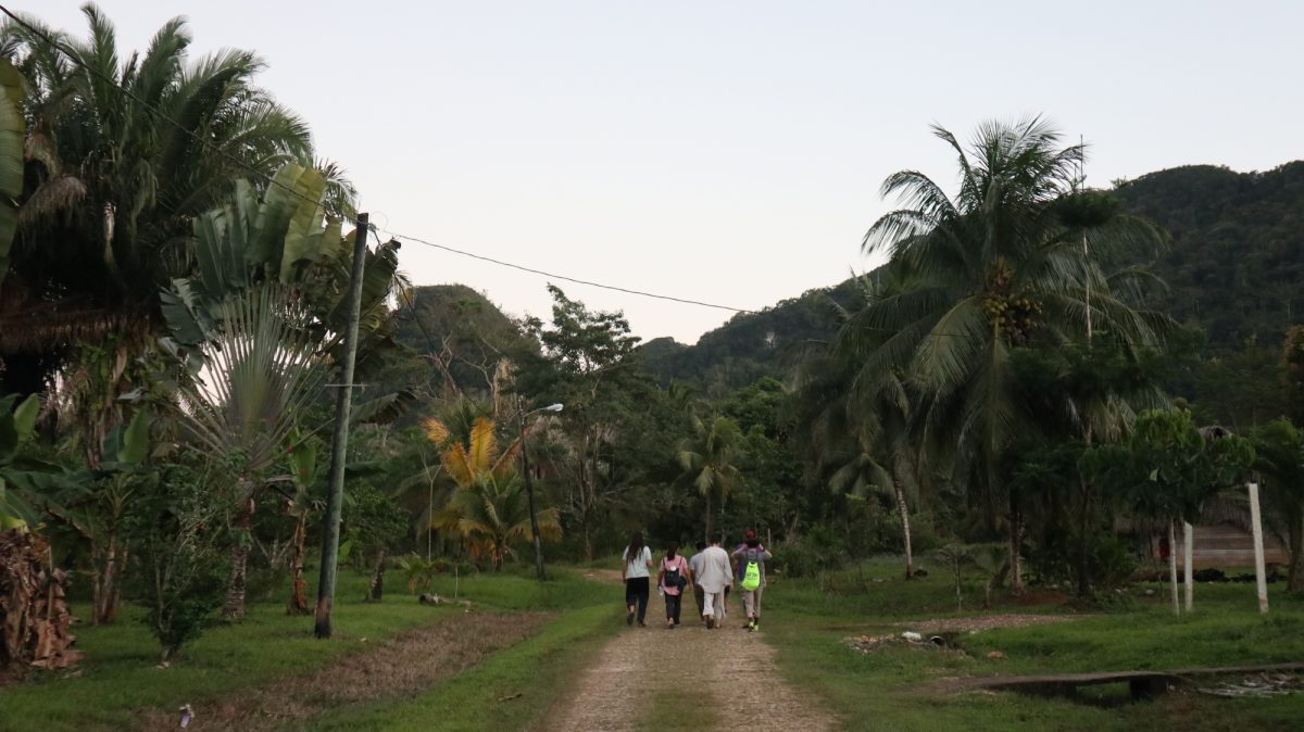 People walking down a jungle road