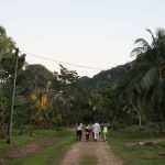 People walking down a jungle road