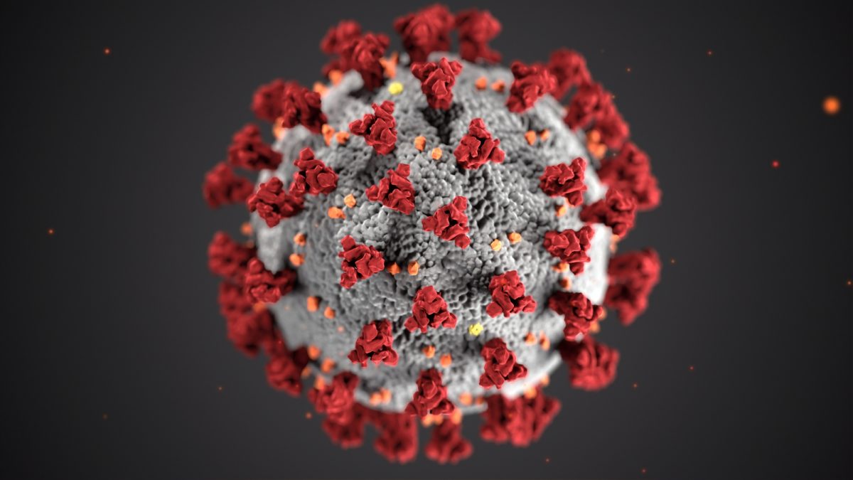 COVID-19 Virus