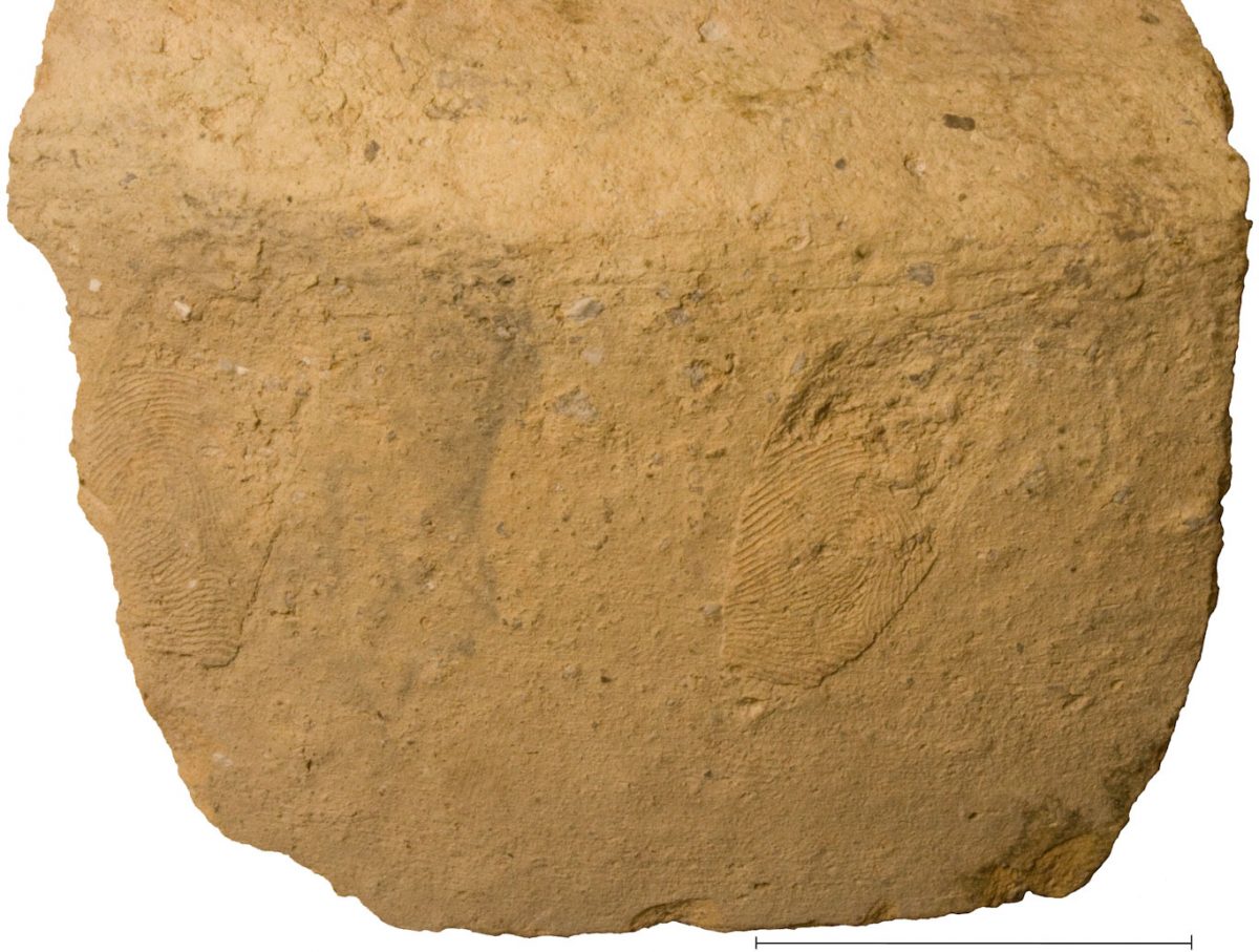 ancient fingerprints in clay