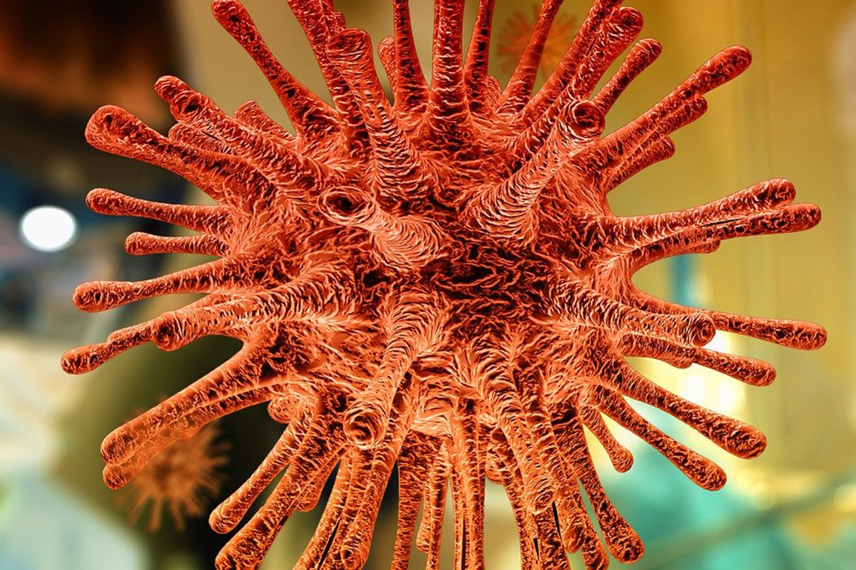 Image of a corona virus
