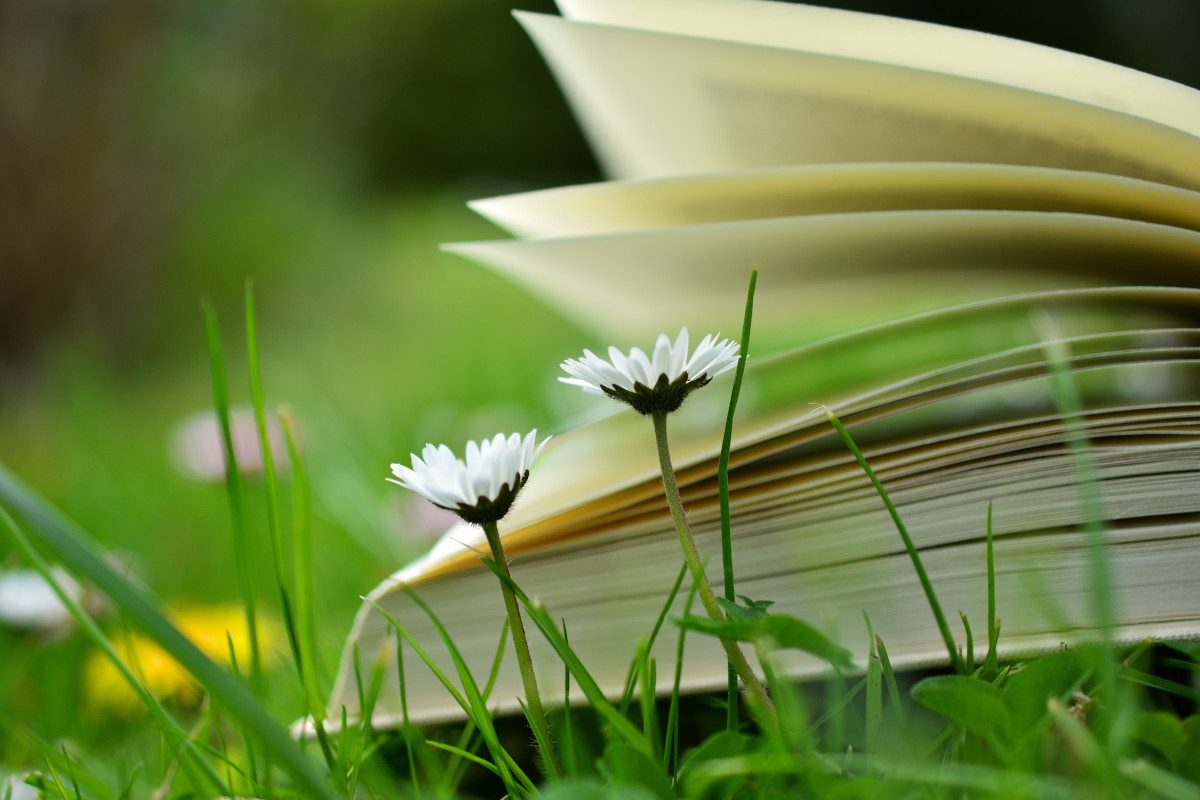 book in the grass with flowers