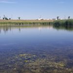 Stormwater retention pond