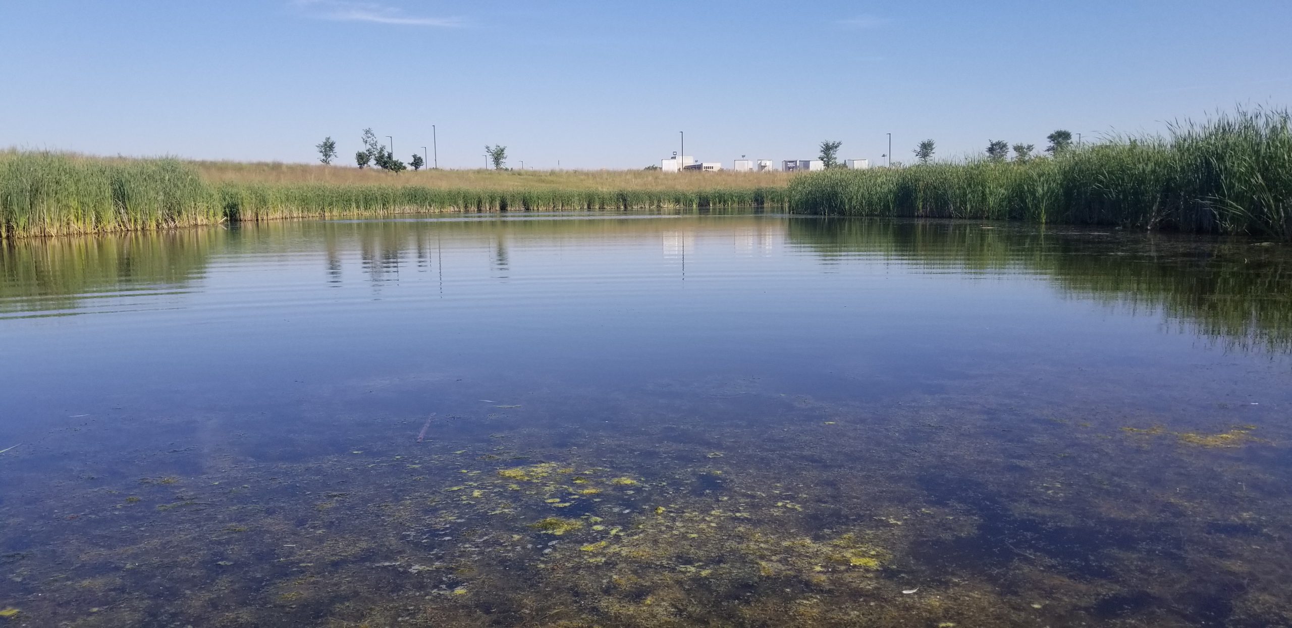 Stories from the Field: Water quality sampling at the UM stormwater retention SmartPond - UM Today