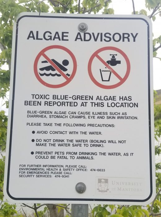 Toxic blue-green algae advisory sign at the retention pond