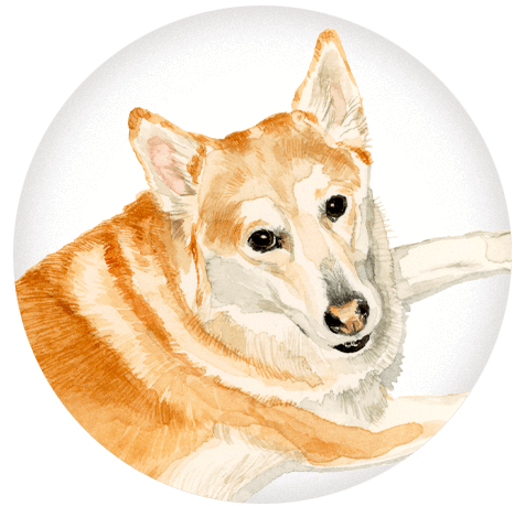 An illustration of a friendly dog laying down.