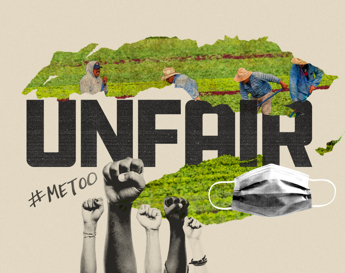 A collage prominently featuring the word Fair.