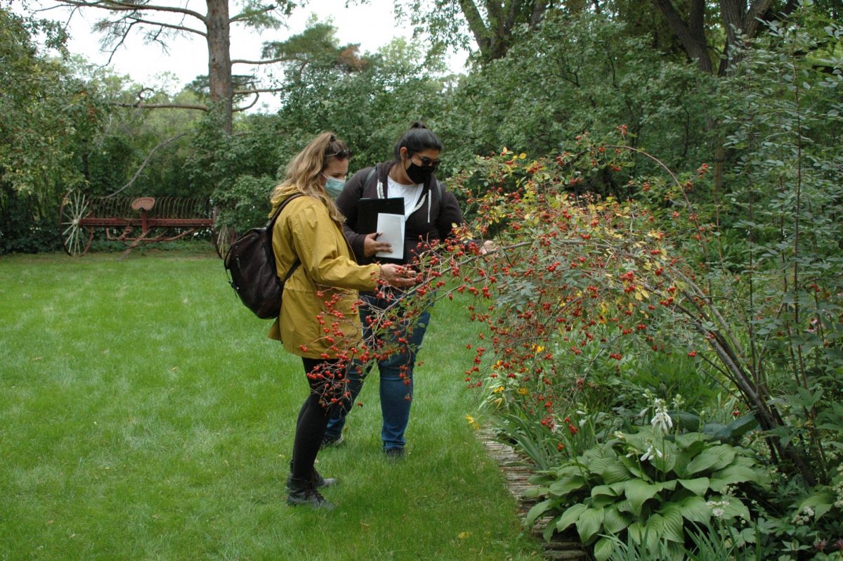 Two students looking at plants