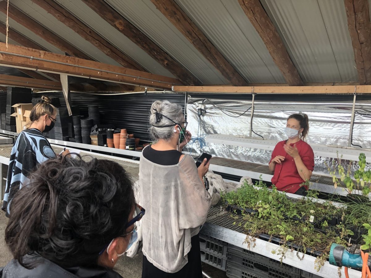 Group of people standing around in what appears to be a greenhouse. They have masks on and are gathered around plants in raised beds.