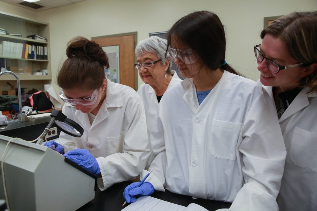 Indigenous Students working in a lab