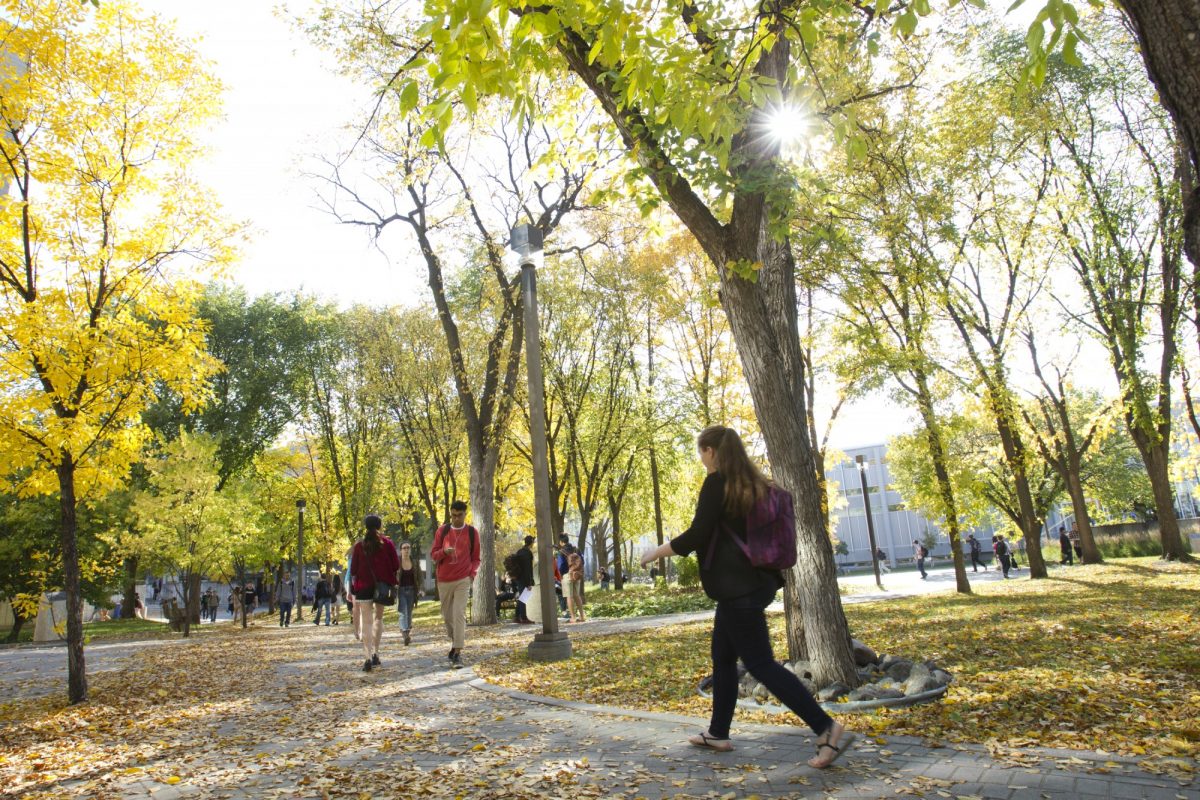 Student walking on campus path surrounded by fall foliage.