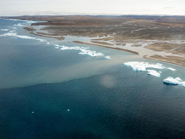 “Lines of bergy bits has collected along a thin shore margin at the point where the sea bottom rapidly deepens below ice keel depths, likely at approximately 2-4 meters. Although the grounded ice bits are continually melting, they are resupplied by more ice chunks shed from the permanent pack out in the channel. Two turbid plumes supplied by a river to the west of the Thomsen easily pass through the necklace of ice.”