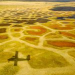 Valley bottoms in this ‘Arctic desert’ include the vibrant color of the vegetation: yellows, greens, and reds mark a dense ground. // Photo by Robie Macdonald/University of Manitoba