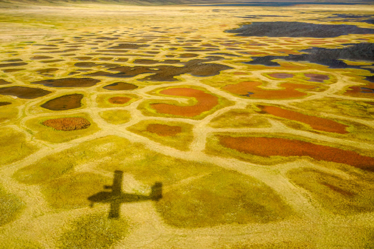 Valley bottoms in this ‘Arctic desert’ include the vibrant color of the vegetation: yellows, greens, and reds mark a dense ground. // Photo by Robie Macdonald/University of Manitoba