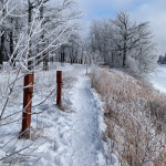 Walking trail in winter