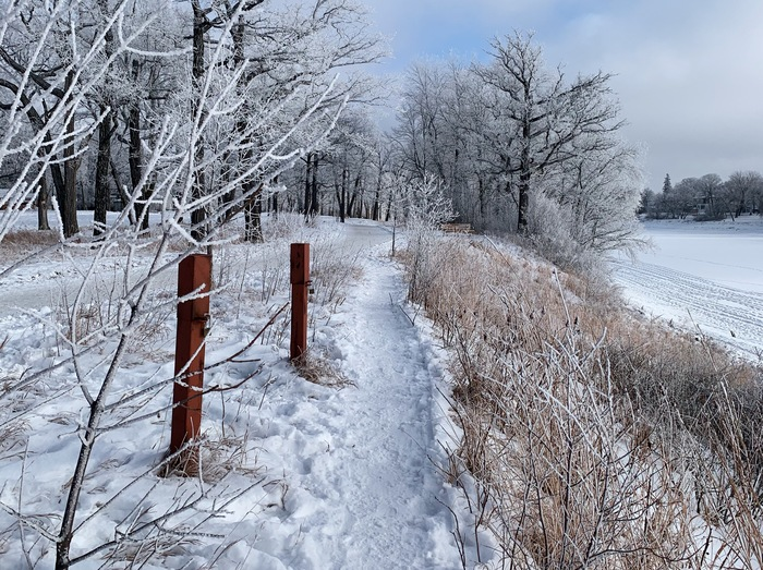 Walking trail in winter