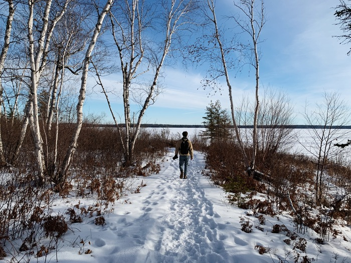 Person walking in winter