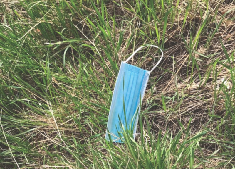 Lost medical mask laing in the grass.