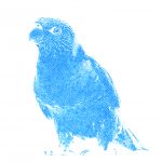 a parrot stylised in blue