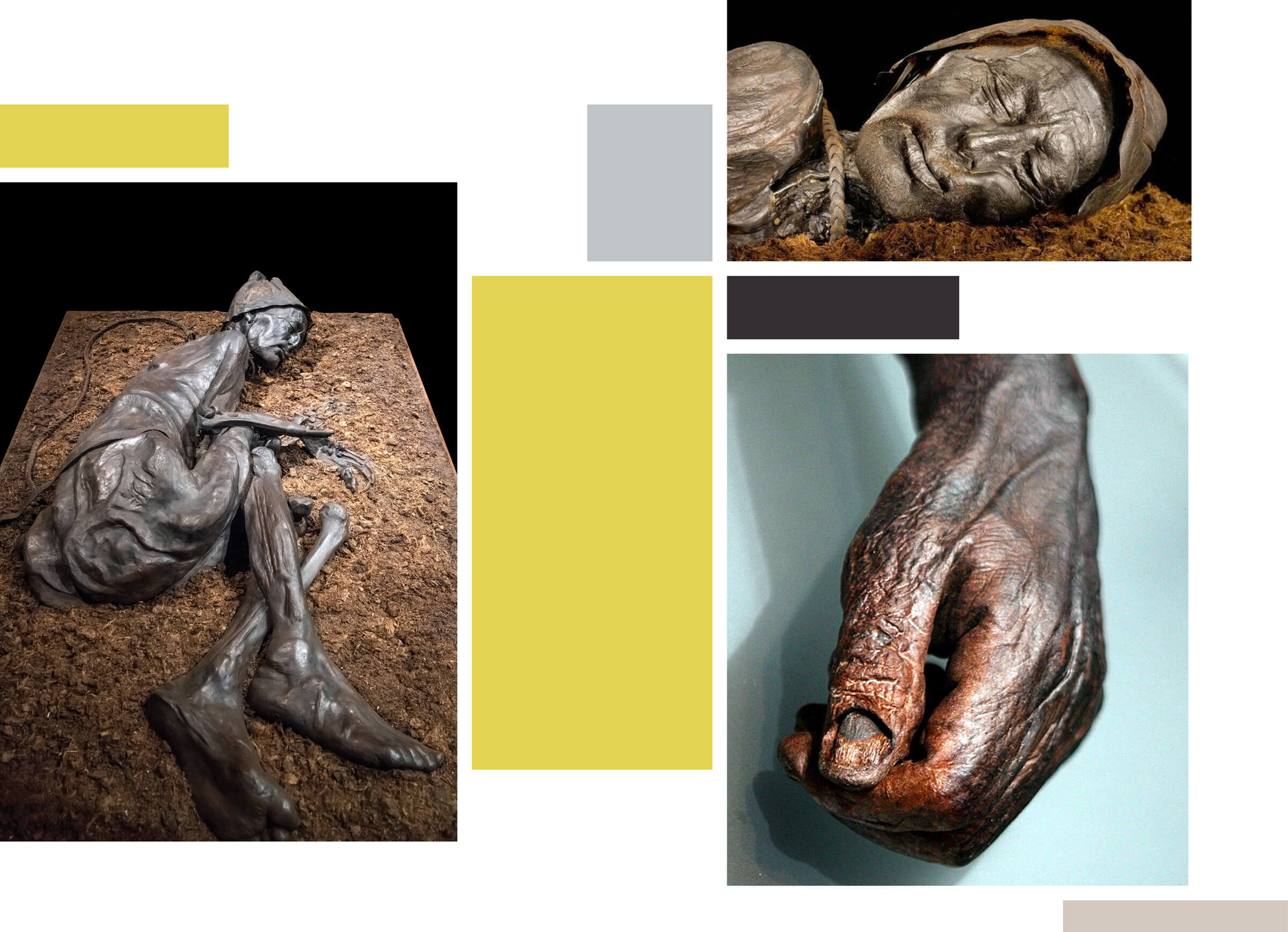 The Tollund Man lived 2,300 years ago and was so well-preserved in the peat and the cold it was initially mistaken as a modern-day murder victim. The mummified corpse is believed to be that of a man who died by hanging // hand photo by PA Images / Alamy Stock Photo; full body photo by Ian Dagnall / Alamy Stock Photo; close-up of head photo by Mummipedia Wiki / Fandom