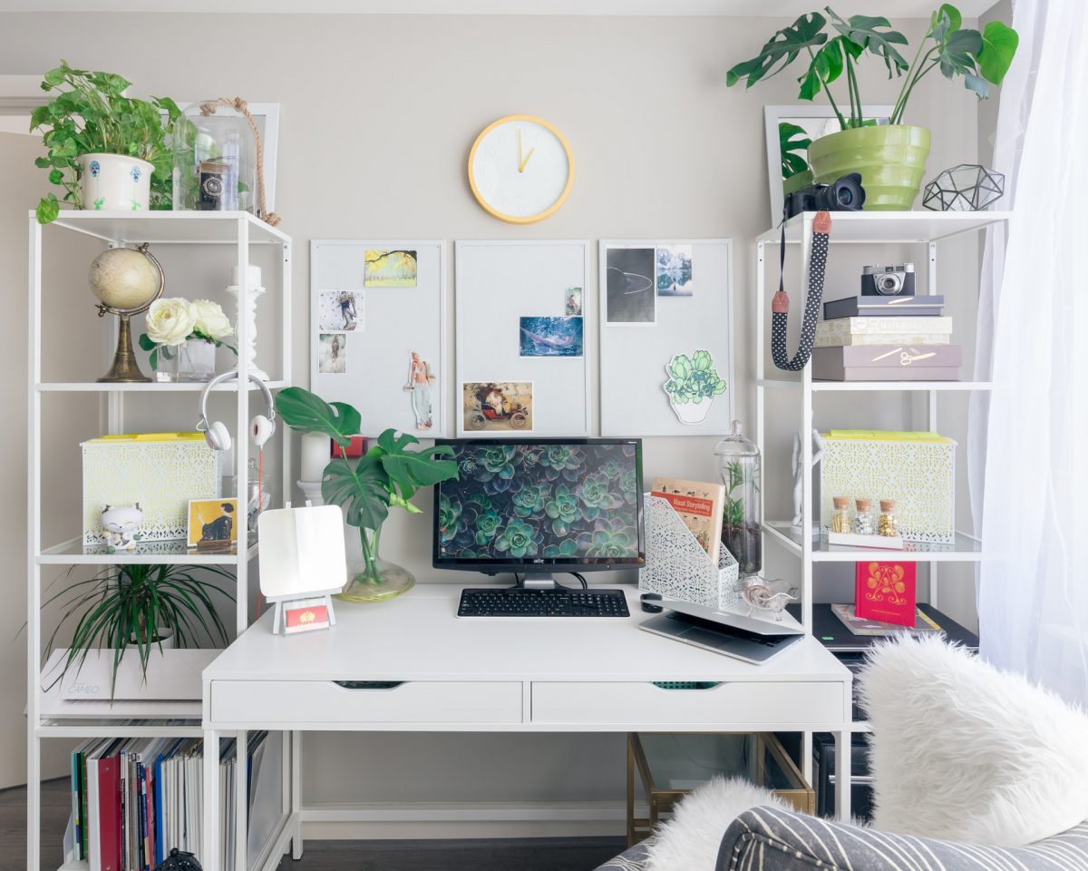 A soothing study place with white walls and furniture, lots of plants and a desktop computer with a succulent wallpaper. a