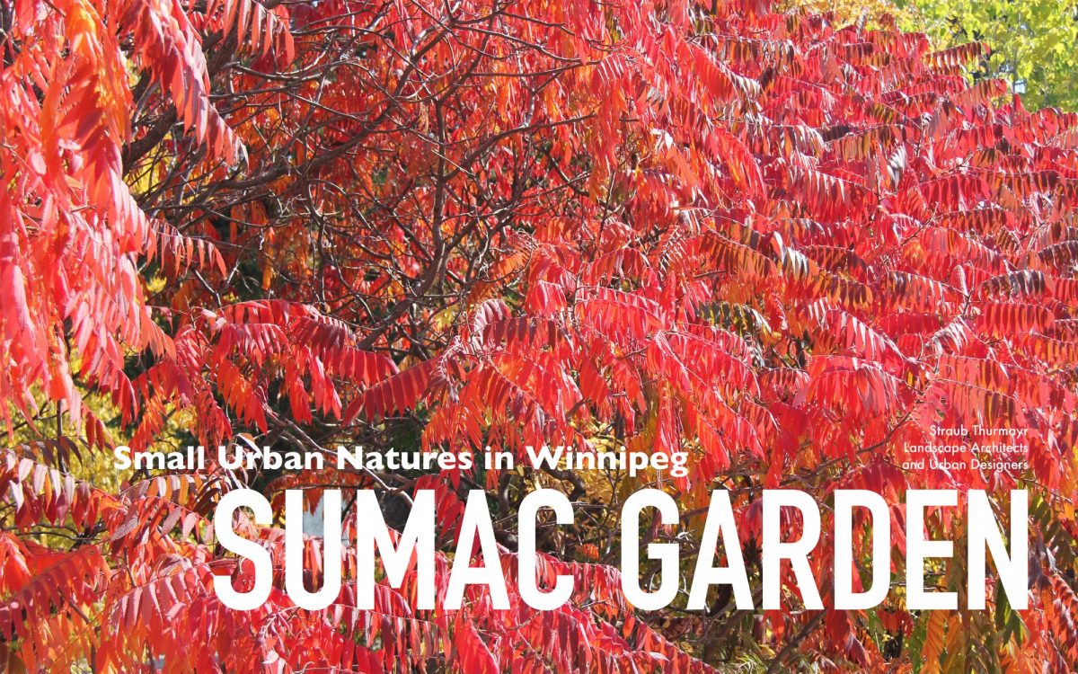 Sumac Garden