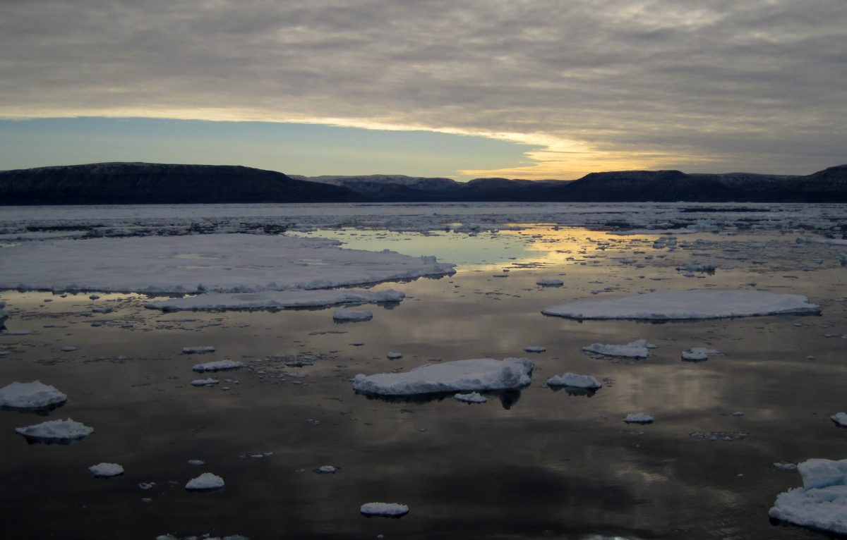 Image of Arctic sea ice