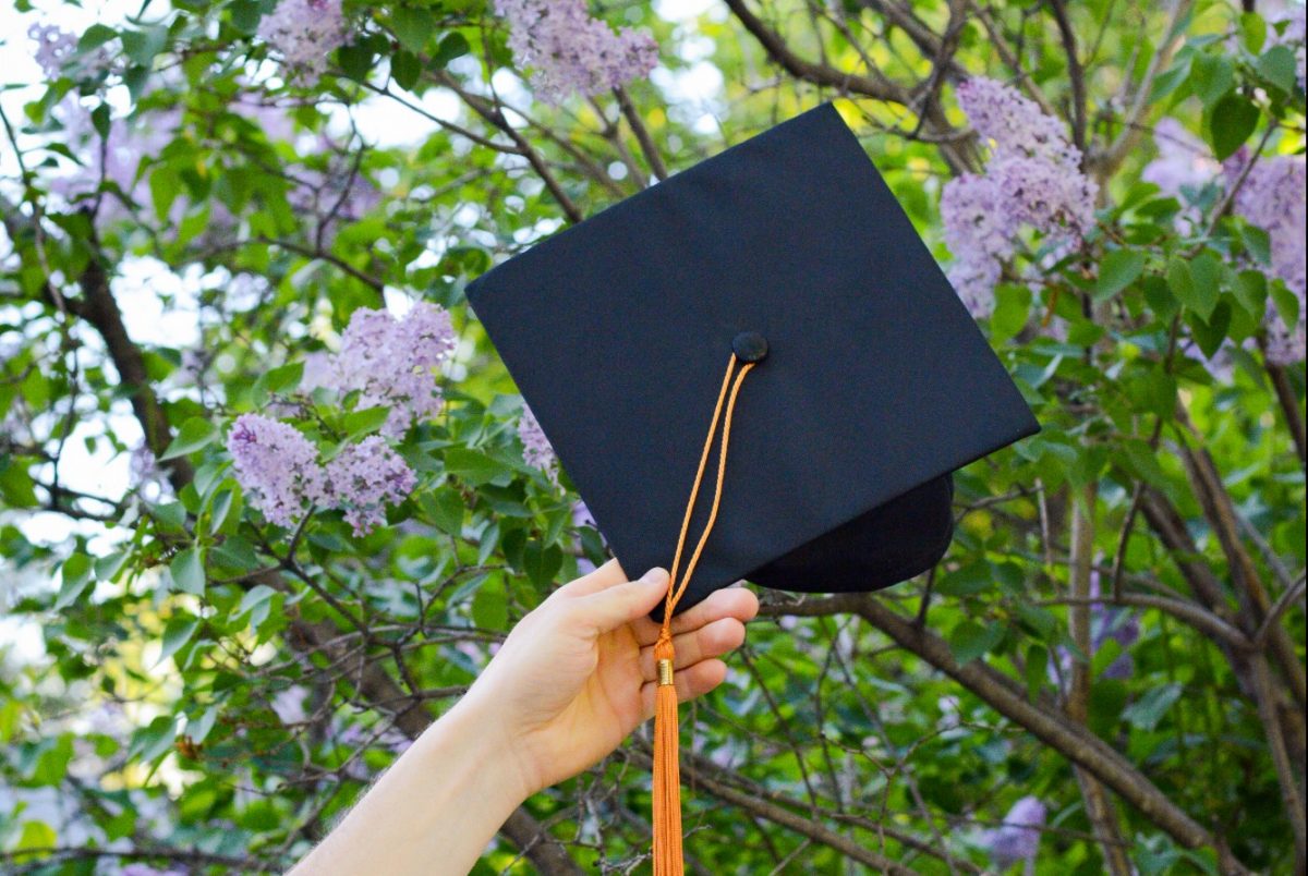 A hand holds a graduation cap in front of a lilac bush in bloom with purple flowers
