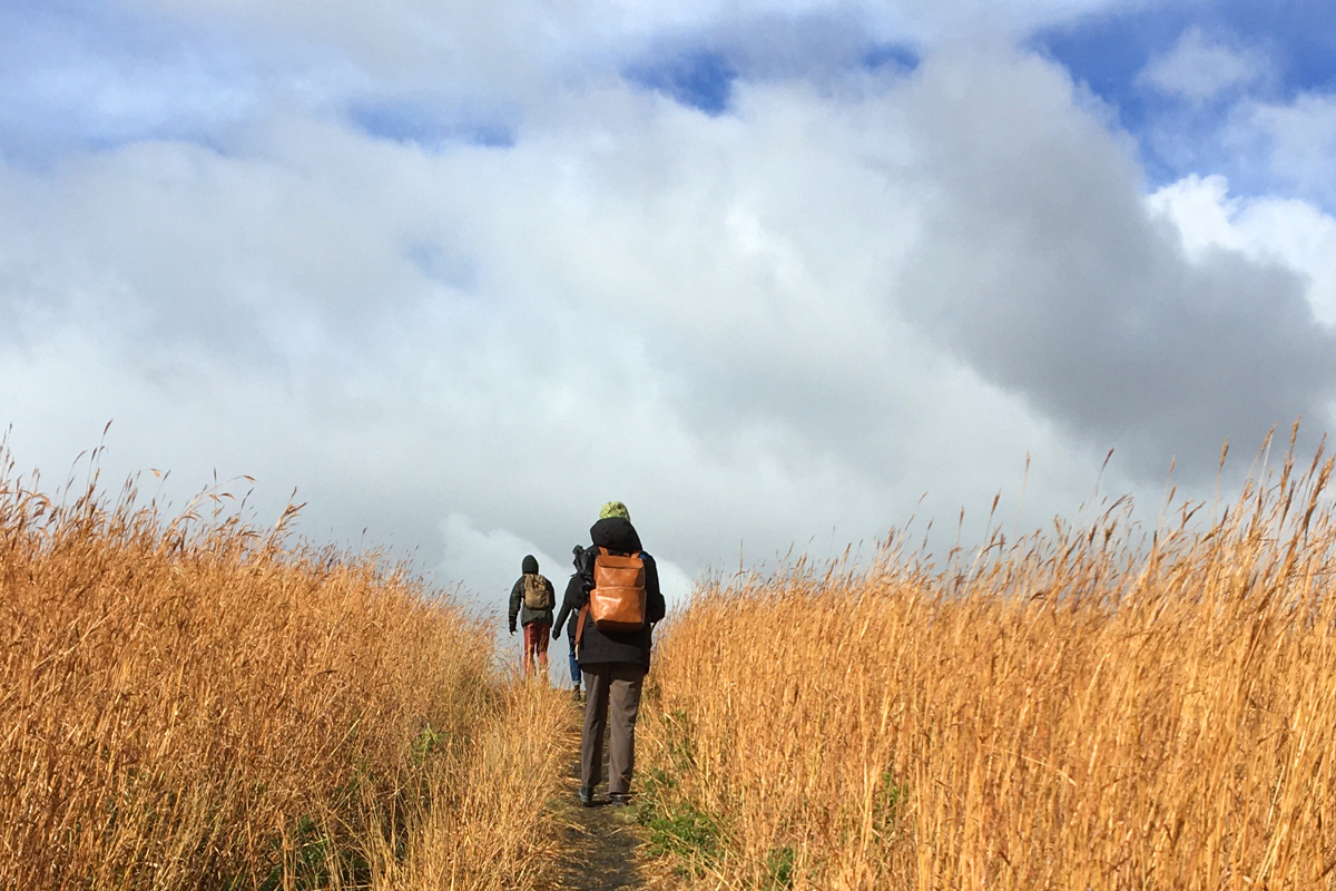 People walk through a field with a partly cloudy sky overhead.