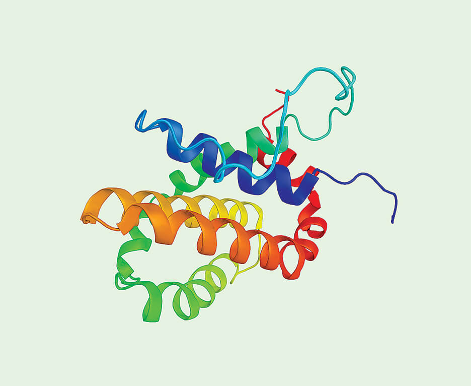 Image of peptides generated from Mookherjee's research.