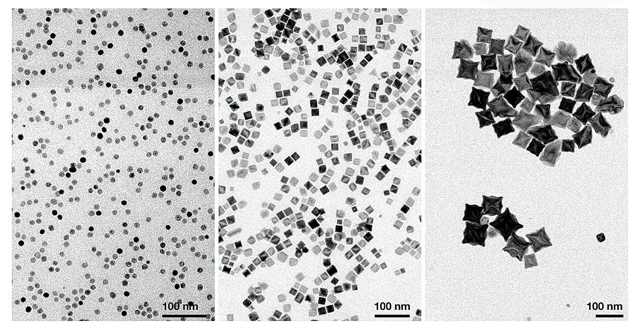 Sphere, cube and octopod-shaped iron oxide nanoparticles.