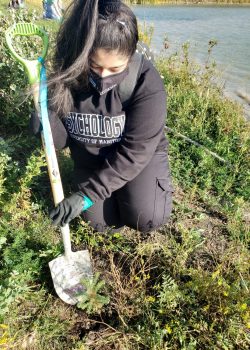 student planting trees outdoors