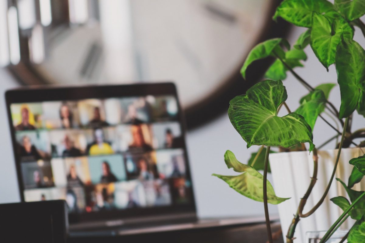 a computer with an ongoing Zoom session sits on a table. A green houseplant sits to the right.