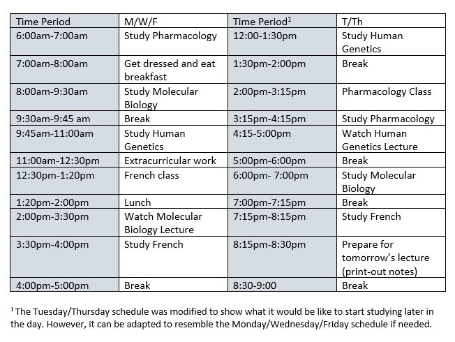 A study schedule spreadsheet with blocks of time per day and different activities scheduled in each block.