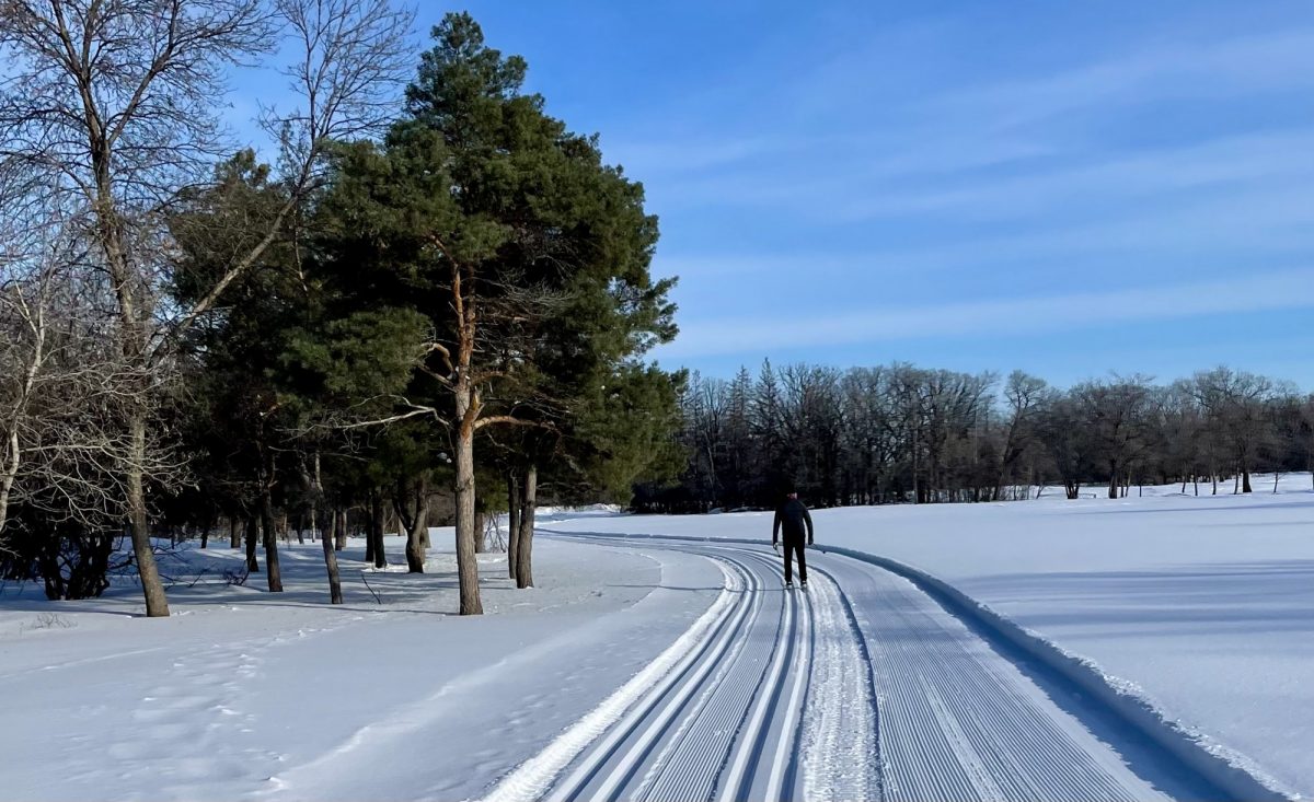 cross country ski trails