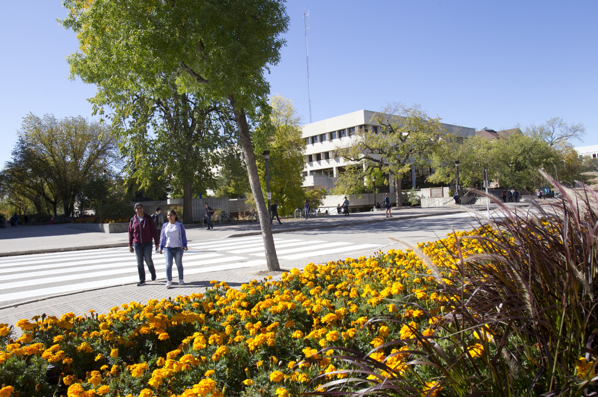 um-today-students-get-ready-registration-for-summer-term-2022-is