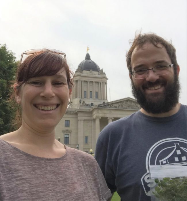 Aleeza Gerstein and Colin Garroway outside the Manitoba Legislature Building where they collected clover for the largest evolutionary field project undertaken. 