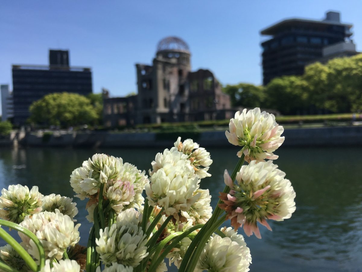 Clover in Japan