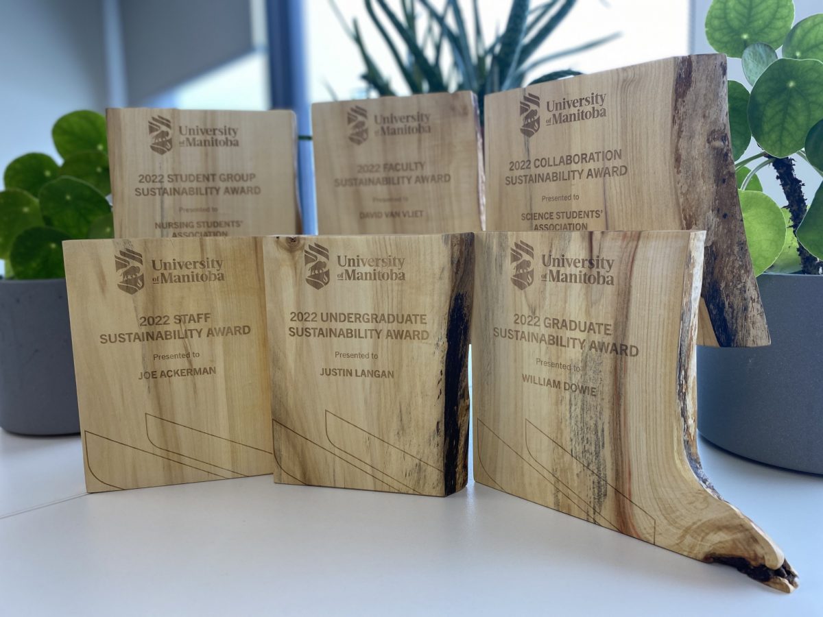 wooden sustainability awards lined up with greenery in the background