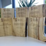 wooden sustainability awards lined up with greenery in the background