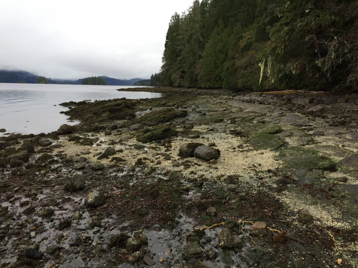 Apple Bay on Vancouver island