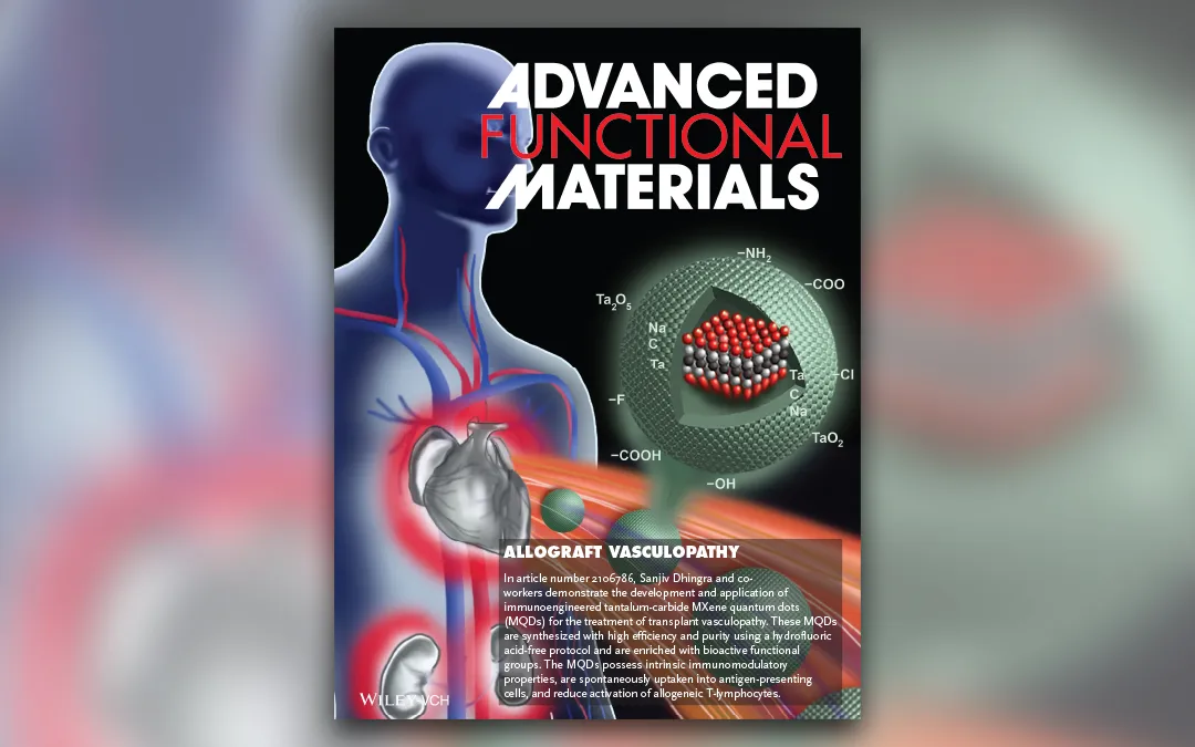 Cover of Advanced Functional Materials